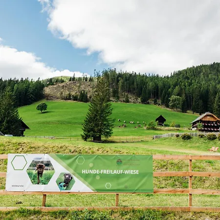 Appartments Bergland An Der Brunnachbahn Apartment Bad Kleinkirchheim